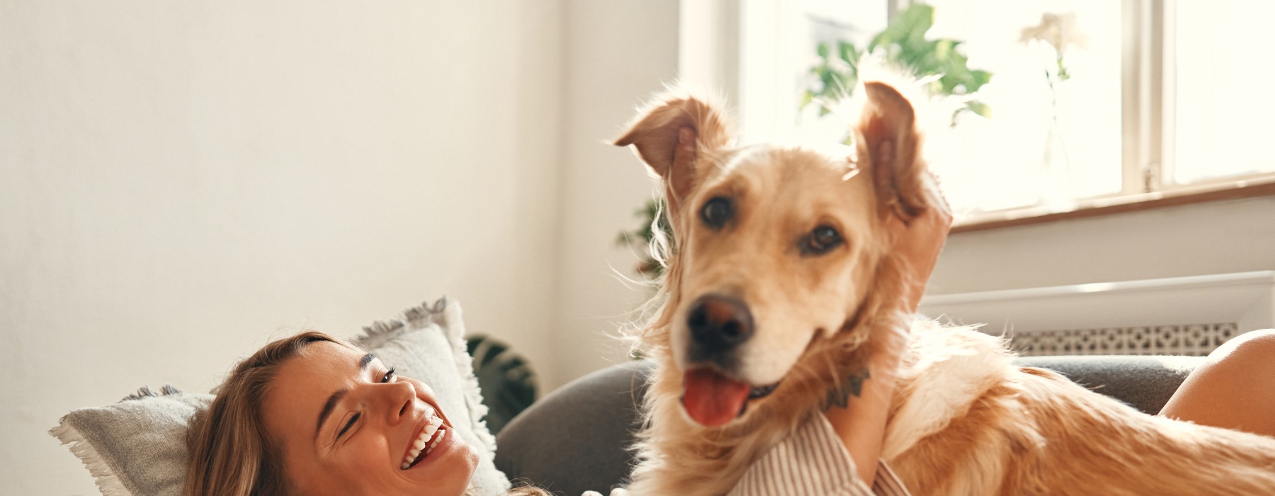Pet Friendly